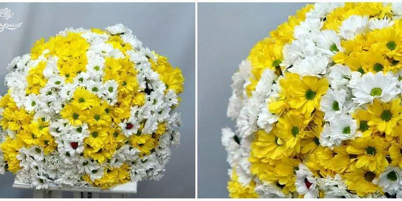 Песня души